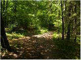 Planina (Dolnja Planina) - Hunting cottage on Planinska gora